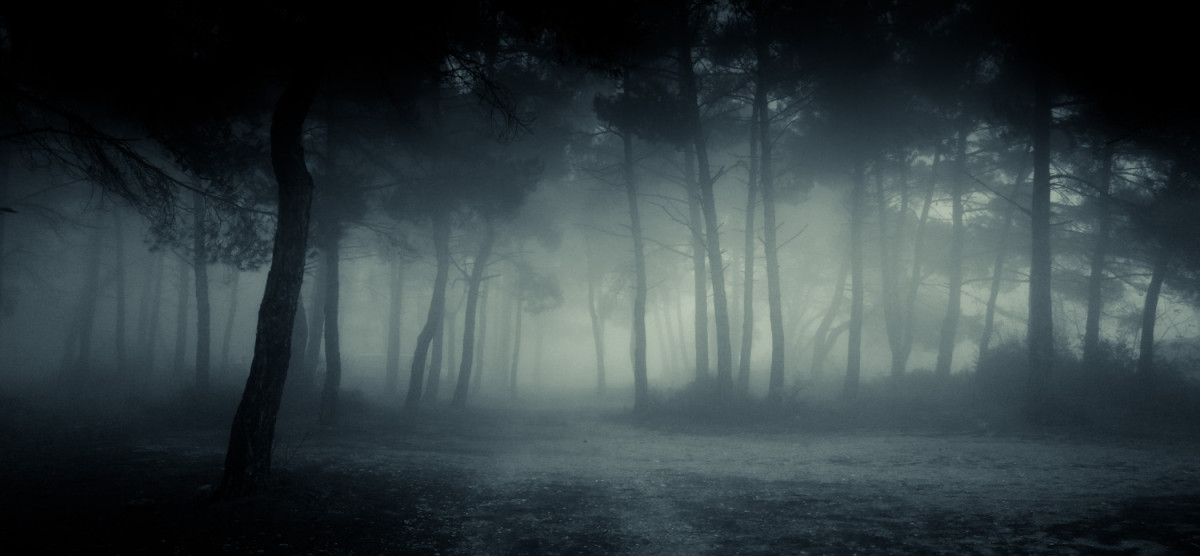 Through the Fog…